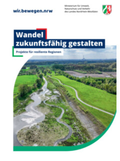 Vorschaubild Cover-wandel zukunftsfähig gestalten_1.jpg