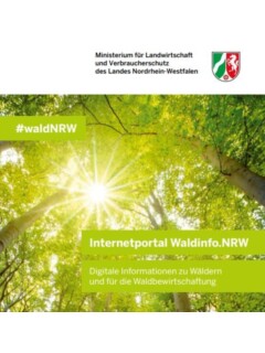 Vorschaubild Vorschaubild Waldinfo.JPG